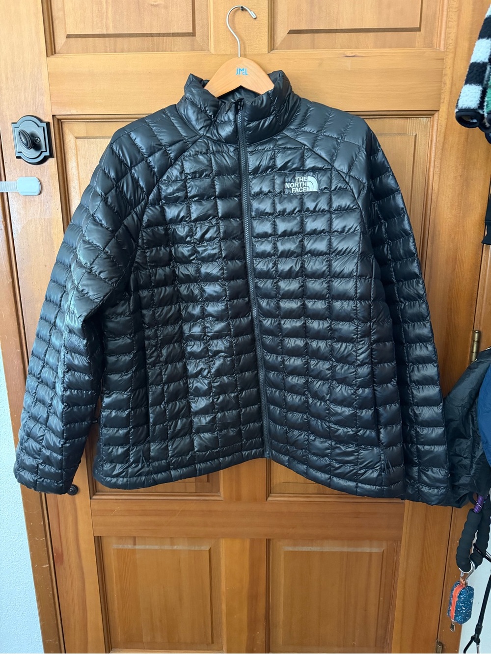 The North Face Black Shiny Quilted Jacket